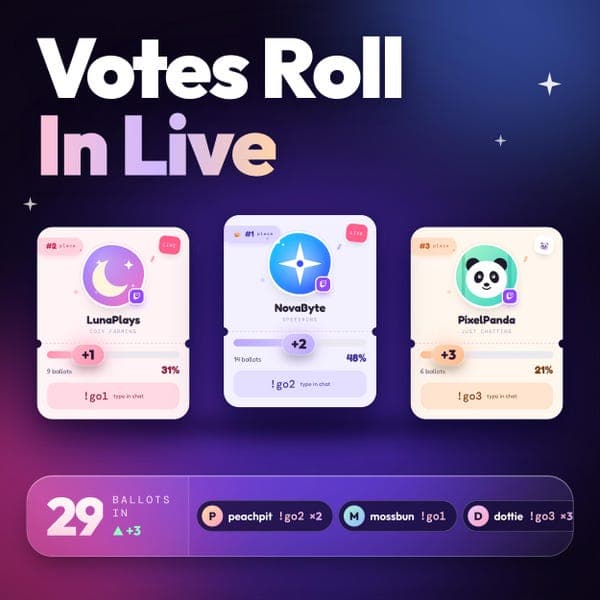 StreamElements Twitch Widget | Raid Vote Overlay | Chat Poll with Countdown and Winner Banner | OBS Stream Overlay | 5 Themes - photo 6
